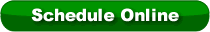 Schedule Online button