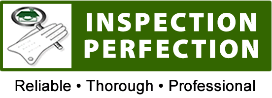 Inspection Perfection Header & Logo